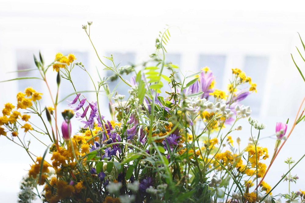 Blumenbeet-Frühling