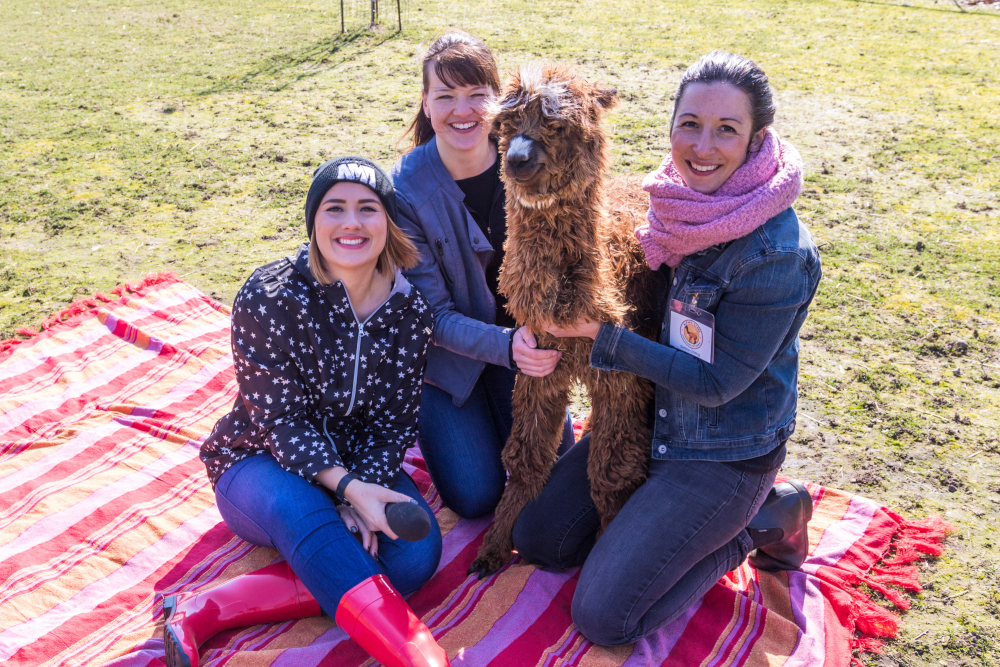 Alpaka-Glanz - Emily, Sarah und Bettina