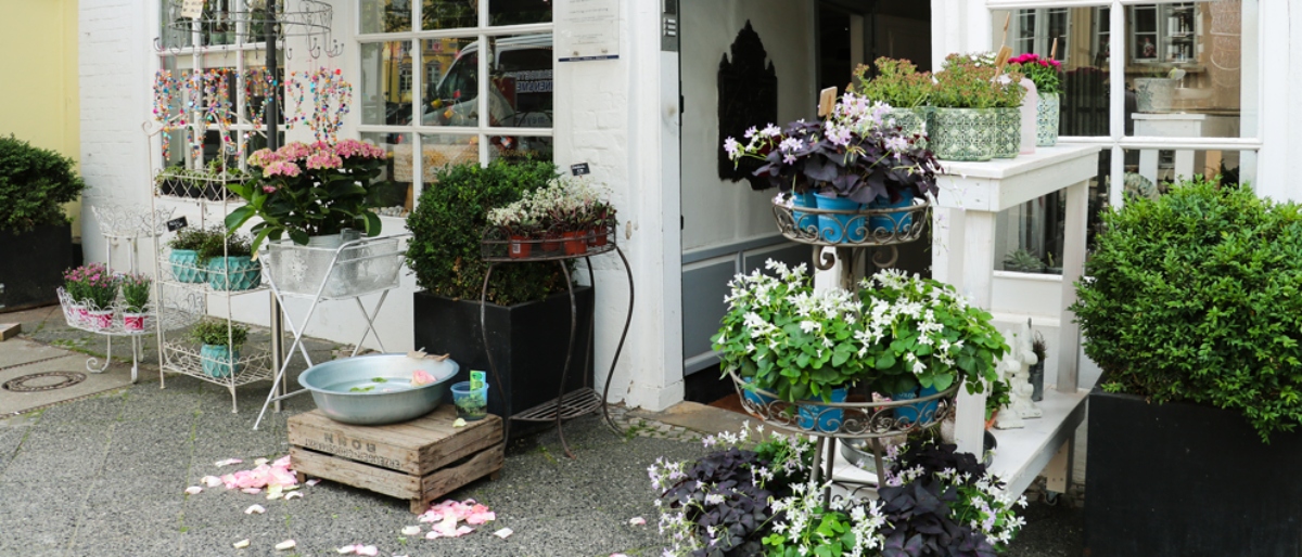 Ladenfront Floralwerk Oldenburg