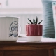Wochenrückblick — Kaffeetasse kleine Pflanze auf Beistelltisch