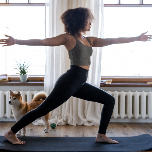 Frau betreibt E-Fitness auf einer Yoga-Matte und ein Hund steht dahinter