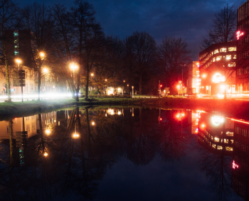 Fledermauswanderung bei Nacht in Oldenburg