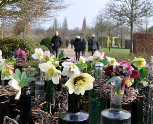 Sonderöffnung Winterblüte im Park der Gärten Bad Zwischenahn